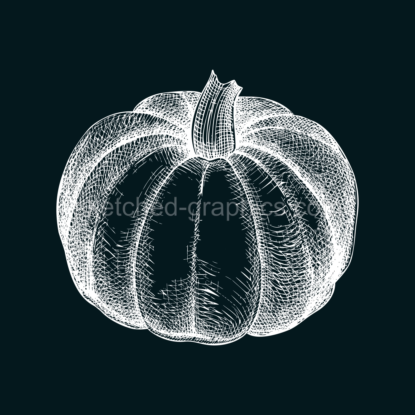 Pumpkin sketch. Autumn vegetable hand-drawn vector illustration on chalkboard. Vintage Thanksgiving day design element. NOT AI generated Illustration